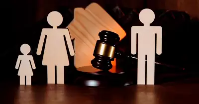 C�mo iniciar demanda de alimentos, seg�n el Poder Judicial.