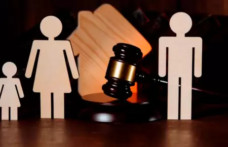 C�mo iniciar demanda de alimentos, seg�n el Poder Judicial.