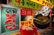 Corea del Sur: el �ltimo verano en que podr�n consumir sopa de carne de perro antes de su prohibici�n para el 2027