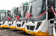 Transporte público de Lima continúa modernizándose: 30 buses nuevos se suman para conectar San Juan de Lurigancho con Chorrillos
