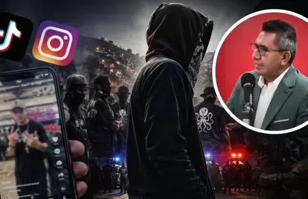 Crimen organizado en redes
