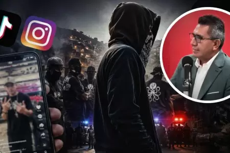Crimen organizado en redes