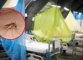 Per� supera en ocho meses de 2026 el r�cord de fallecidos por dengue de todo 2025