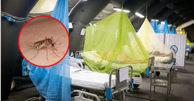 Casos registrados de muertes por dengue en ocho meses de 2026 superan los de tod