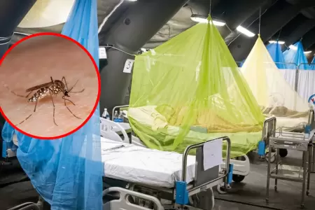 Casos registrados de muertes por dengue en ocho meses de 2026 superan los de tod