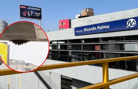Anuncian cierre temporal de la estaci�n Ricardo Palma