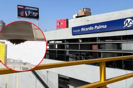 Anuncian cierre temporal de la estaci�n Ricardo Palma