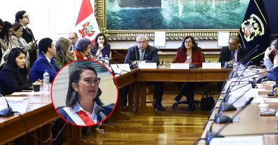 Comisi�n busca acelerar el debate sobre el pedido del gobierno.