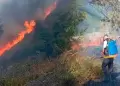 Pasco: Incendios forestales arrasaron con hect�reas de vegetaci�n en un solo fin de semana