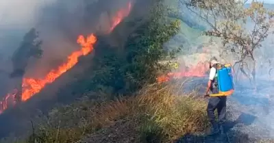 Pasco es una de las regiones m�s golpeadas por incendios forestales.