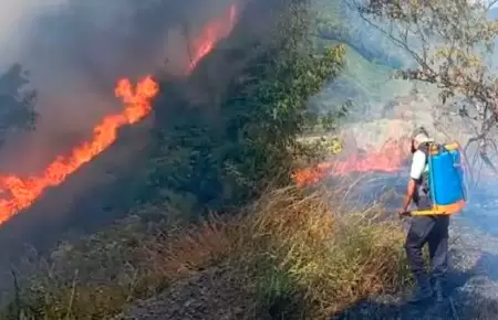Pasco es una de las regiones m�s golpeadas por incendios forestales.