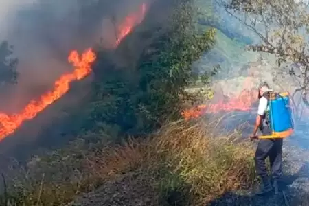 Pasco es una de las regiones m�s golpeadas por incendios forestales.