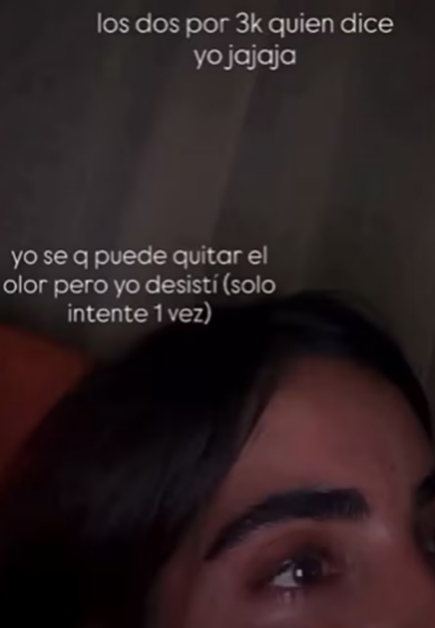 Isabella Lader vende muebles orinados por sus mascotas