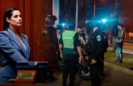 La exparlamentaria andina propuso tipificar delito.