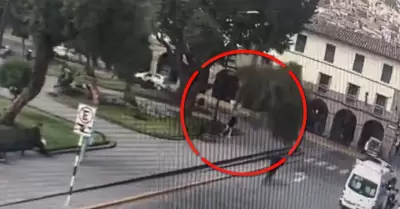 Rama de �rbol cay� sobre una turista cerca de la Plaza Mayor