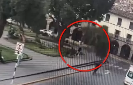 Rama de �rbol cay� sobre una turista cerca de la Plaza Mayor