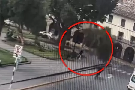 Rama de �rbol cay� sobre una turista cerca de la Plaza Mayor