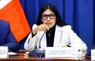 Diputada Catherin Palomino presenta proyecto de ley para derogar la ley que crea el Colegio Profesional de Artistas del Perú