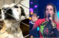 Alejandra Baigorria explota ante reclamos por apoyo para albergue en Chaclacayo: "Te estás equivocando"