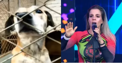 Alejandra Baigorria se molesta por reclamos por albergue de Chaclacayo