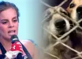 Alejandra Baigorria rompe su silencio tras denuncia por abandono de mascotas: "Yo no tengo nada que ver"
