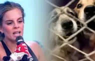 Alejandra Baigorria rompe su silencio tras denuncia por abandono de mascotas: "Yo no tengo nada que ver"