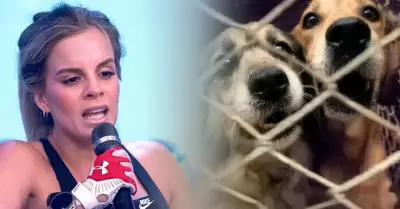 Alejandra Baigorria tras denuncia de abandonar mascotas