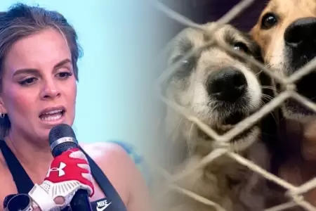 Alejandra Baigorria tras denuncia de abandonar mascotas