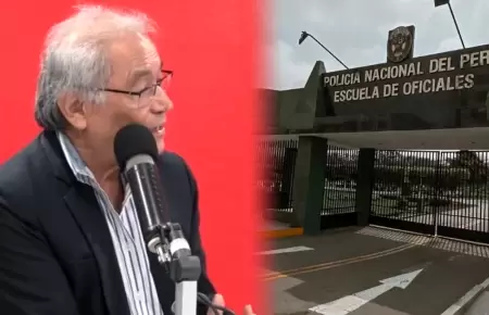 Exministro recomienda reducir escuelas policiales.