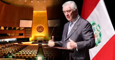 Carlos Pareja: representante permanente del Per� ante la ONU.
