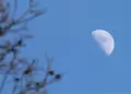 Noche Internacional de Observaci�n de la Luna: �Qu� es, c�mo participar y qu� podr�s ver desde casa?