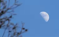Noche Internacional de Observaci�n de la Luna: �Qu� es, c�mo participar y qu� podr�s ver desde casa?