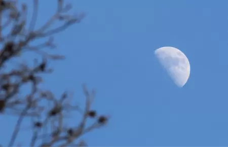 Noche Internacional de Observaci�n de la Luna