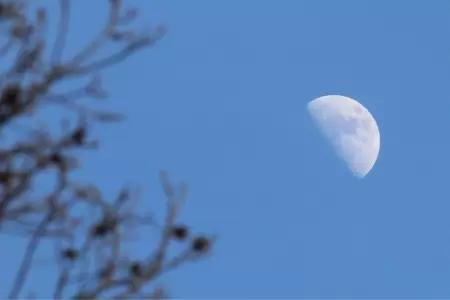 Noche Internacional de Observaci�n de la Luna