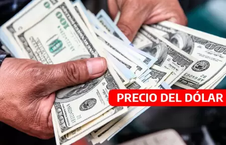 Cotizaci�n del d�lar hoy en Per�: precio y tipo de cambio.
