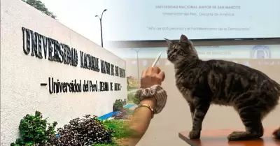Estudiantes exigen esclarecer muerte de gatos.