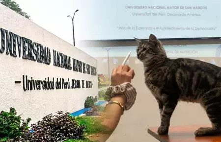 Estudiantes exigen esclarecer muerte de gatos.