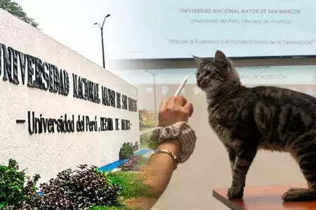 Estudiantes exigen esclarecer muerte de gatos.