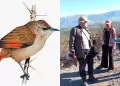 Hallazgo cient�fico en Ayacucho: Identifican posible nueva especie de ave en los bosques andinos de Huanta