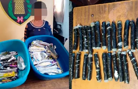 Mujer intent� ingresar elementos para un interno.