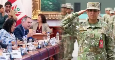 Ministro de Defensa expuso la propuesta ante la comisi�n del Congreso.