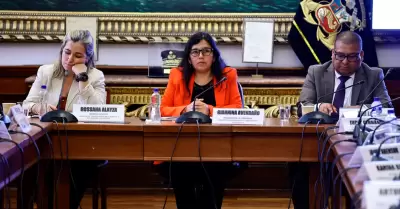 Comisi�n de Constituci�n de la C�mara de Diputados.