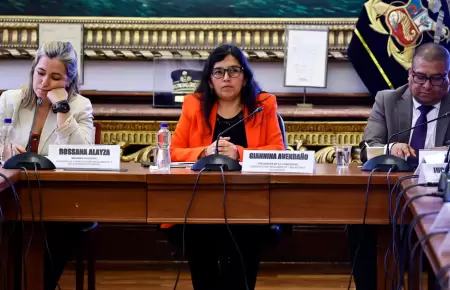 Comisi�n de Constituci�n de la C�mara de Diputados.
