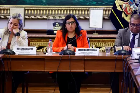 Comisi�n de Constituci�n de la C�mara de Diputados.