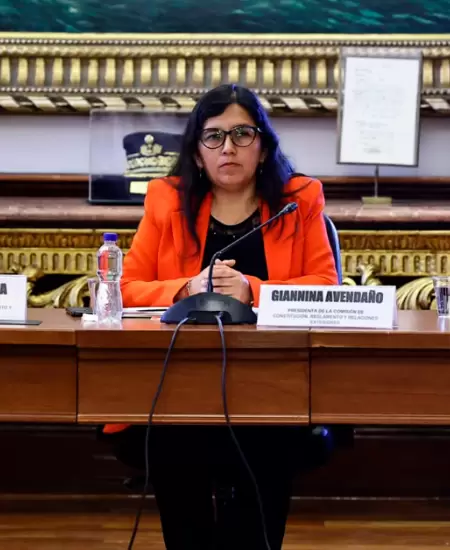 Comisi�n de Constituci�n de la C�mara de Diputados.
