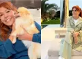 Magaly niega que vaya a abandonar Per� tras recibir amenazas: "Mi vida, mi familia y mi trabajo est�n aqu�"