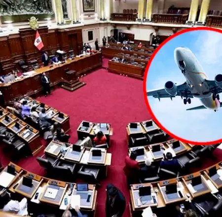 Pasajes no fueron utilizados por los parlamentarios.
