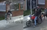 Perro frustra robo de celular al enfrentarse a ladrón armado en Bogotá: redes sociales lo aplauden
