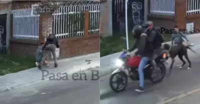 Perro frustra robo de celular en Colombia