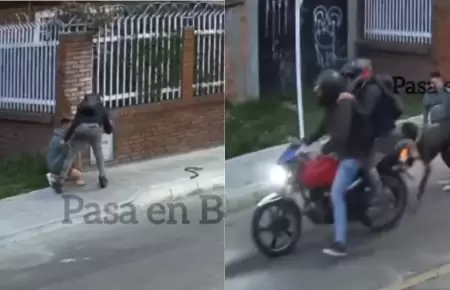 Perro frustra robo de celular en Colombia